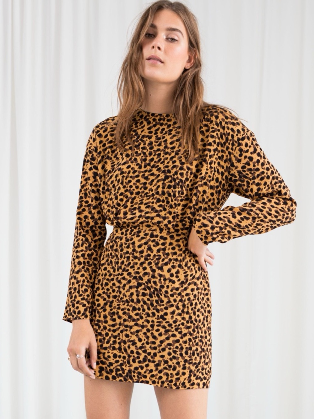 & Other Stories Leopard Print Long-Sleeve Mini Dress